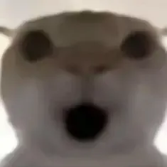 78鼠鼠聚集地群头像